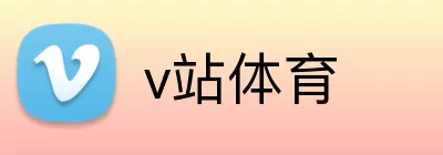 v站体育 Logo